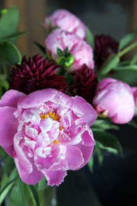 粉红色 peonie 花的特写, 四周都是绿叶