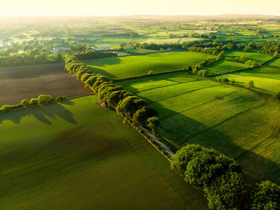 爱尔兰郁郁葱葱的牧场和农田鸟瞰图