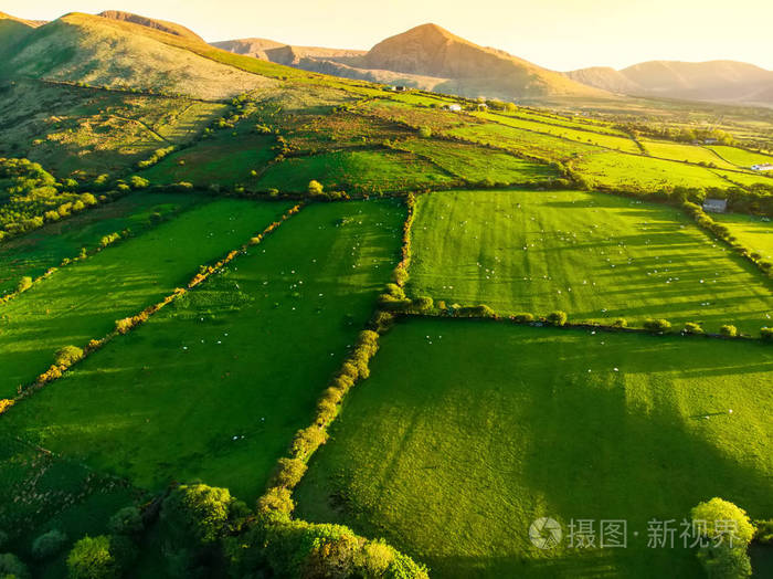 爱尔兰郁郁葱葱的牧场和农田鸟瞰图