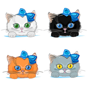 小猫的眼睛图片