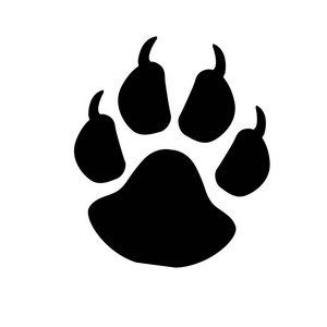 黑色的爪子图片