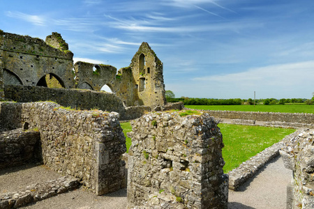 霍尔修道院, 毁坏的 Cistercian 修道院在卡舍尔的岩石附近, 县雷里, 爱尔兰