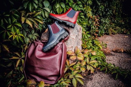 红色和蓝色鞋子, 妇女的手提包在常春藤背景