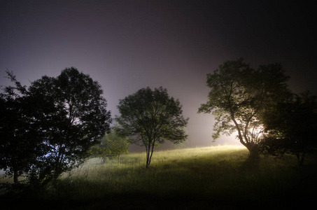 荒山野岭夜晚图片