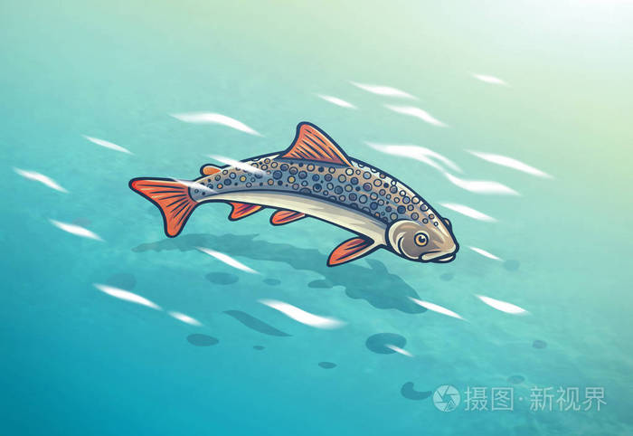 一条鱼 (大概是鳟鱼) 在一层清水下的插图