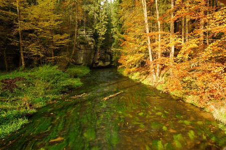 秋季彩色树木，树叶，岩石周围美丽的河