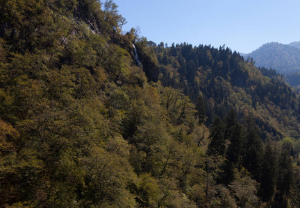 Borjomi 的山风景在佐治亚