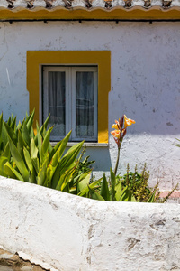 老房子的白色门面与一个黄色框架的窗口。线的瓷砖屋顶的边缘。小庭院与植物在前景。晴天。Cacela Velha, 阿尔加维, 葡萄