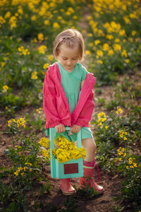 小女孩站在春天黄色的草地上。采摘夏日花朵的孩子。儿童在国家