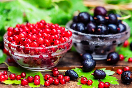 用新鲜浆果,覆盆子,黑莓,樱桃和黑加仑子做夏季蛋糕.