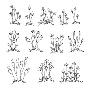 手绘草丛手绘画, 素描, 手绘, 涂鸦花照片