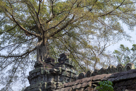 吴哥窟寺古石废墟。在寺庙塔的热带树。高棉王国遗产废墟在丛林中。吴哥窟建筑细节。亚洲旅游照片。柬埔寨旅游观光