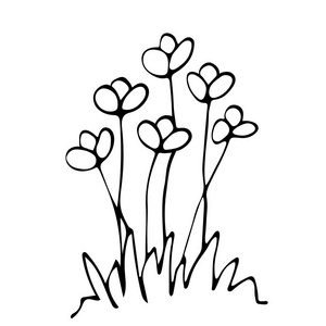 素描花床, 花卉组合, 自由手绘画素描花坛, 花卉组合, 自由手绘素描