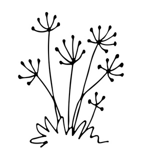 素描花坛, 花卉组合, 自由手绘照片