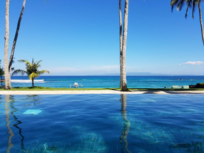棕榈树反映在一个无限的游泳池俯瞰印度洋在巴厘岛坎迪达萨海滩度假胜地, 印度尼西亚