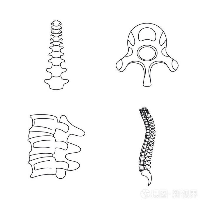 脊柱矫形脊椎图标设置, 轮廓样式插画-正版商用图片0uojvu-摄图新视界