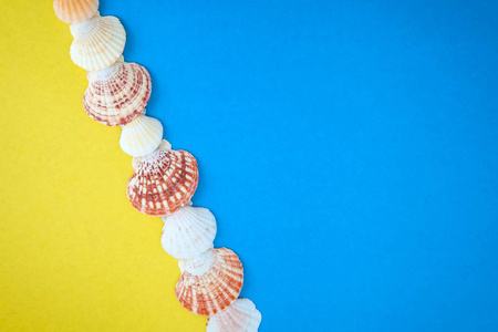奇特的海贝壳和海星收藏平躺在一个蓝色和黄色的背景, 复制空间