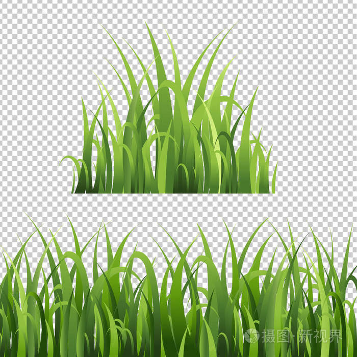 绿草设置隔离透明背景, 矢量插图