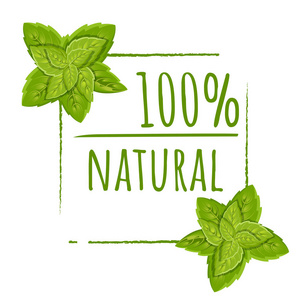 100自然标志设计。绿色矢量生态邮票。带有叶子的颜色图标。平面矢量图。在白色背景上被隔离