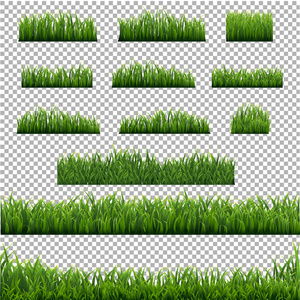 大设置绿色草边框透明背景与渐变网格, 矢量插图