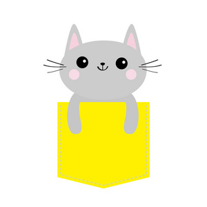 猫在黄色口袋里.可爱的卡通人物.灰色小猫微笑凯蒂.破折号线.