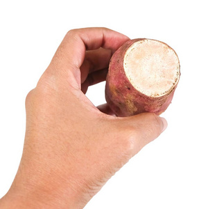 蔬菜和水果, 手 Hodling 生橙甘薯在白色背景下分离。富含维生素 a维生素 C 和维生素 B6