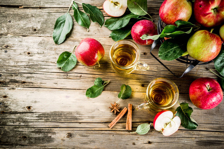 自制的苹果酒, 肉桂和茴香香料, 在木制的田园背景复制空间新鲜苹果