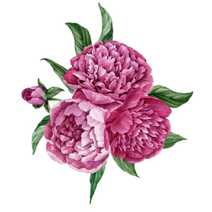 盛开的花束图片-盛开的花束素材-盛开的花束插画-摄图新视界