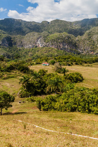 古巴威纳尔斯附近的 Guasasa 河谷景观