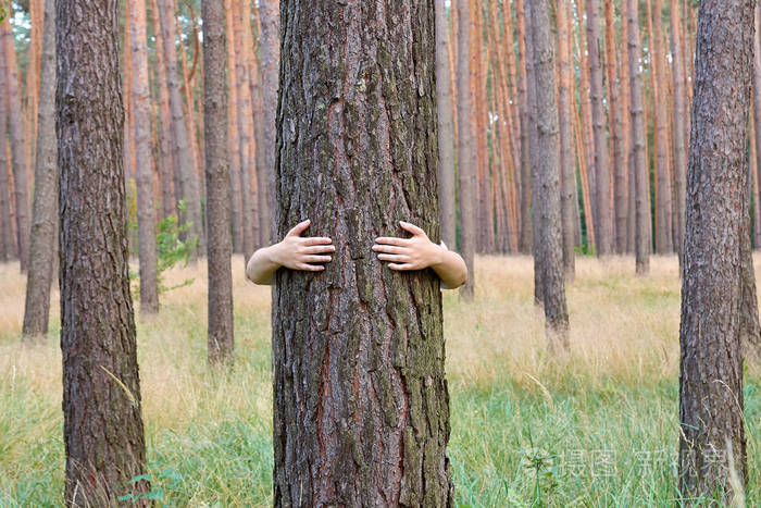 一个年轻女子抱着树干在森林里