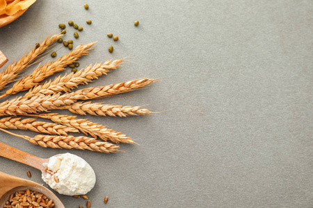 灰色背景下的面粉,谷物和小穗匙照片