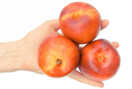 手与新鲜成熟的水果油桃, 健康甜点和营养的概念