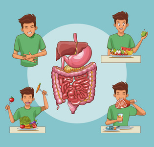 消化系统卡通图片