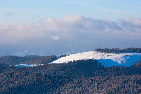 冬天在山里。风景与云杉森林在山里