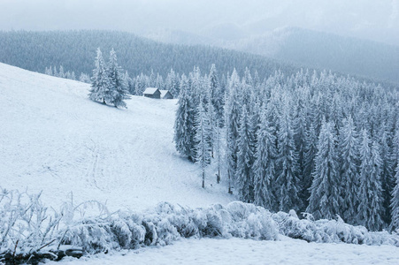 梦幻般的冬季景观。山上的木房子。雪中森林的圣诞美景