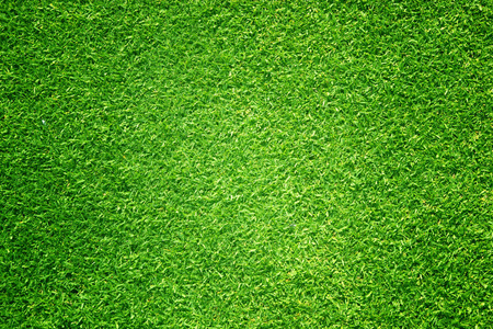 绿草小草坪足球场的自然背景