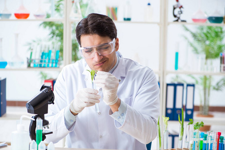 在植物实验室工作的男性生物化学家