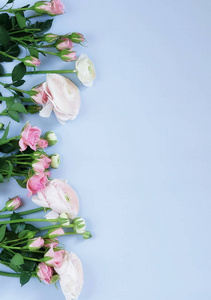 花卉背景。淡淡的粉红色石龙芮和玫瑰花在浅蓝色的背景花束。顶部视图。复制空间