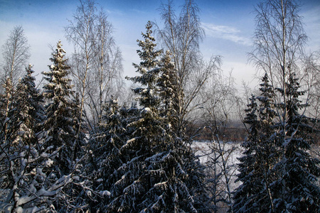 冬天的傍晚在雪地里吃, 有云彩背景的蓝天