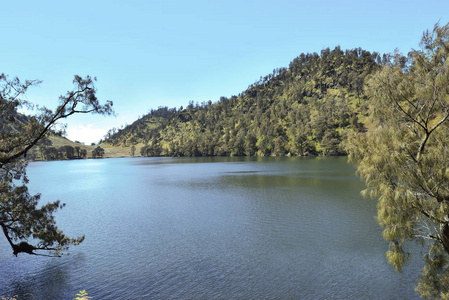 美丽的景色 Ranu Kumbolo 湖在 Semeru 山。玛琅, 印尼