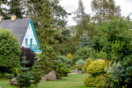 美丽的乡村别墅坐落在夏季花园, 与针叶树, 树木和花卉。暑期园艺理念