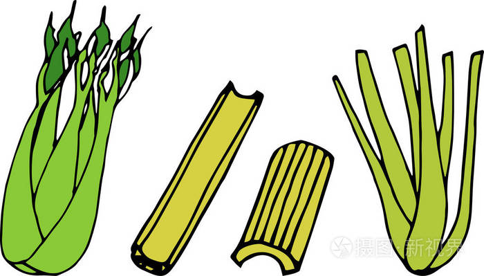白色背景的卡通芹菜插画-正版商用图片0upku4-摄图新视界