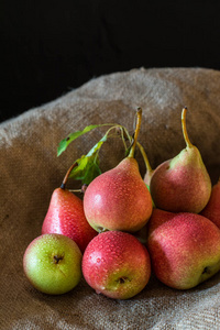 新鲜成熟的有机红梨在质朴的木桌上, 自然背景, 织女星, 饮食食品。秋收。袋子里多汁的水果。秋季心情