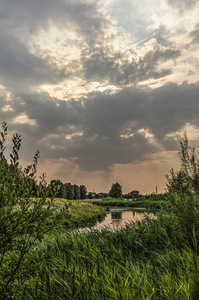 Koedood 河两岸的芦苇, 在鹿特丹以南的 Ijsselmonde, 在生动的夜空下观看