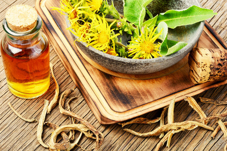 从云威灵药材的根部医治灵药.设置愈合草药照片