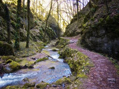 Johannesbachklamm 在 Wuerflach, 下奥地利, 奥地利