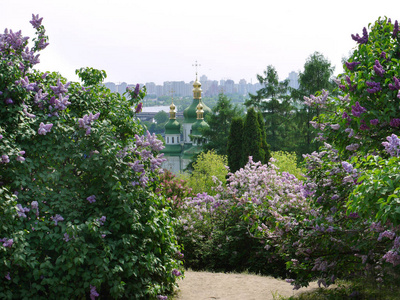 紫色灌木丛附近的道路上的绿色圆顶的教堂的背景