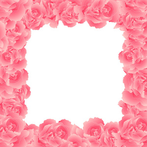 石竹石竹粉红康乃馨花边框。矢量插图