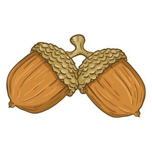 橡子树矢量图片-橡子树矢量素材-橡子树矢量插画-摄图新视界