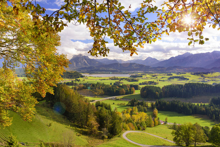 金黄10月与五颜六色的山毛榉树在区域 Allgau, 巴伐利亚